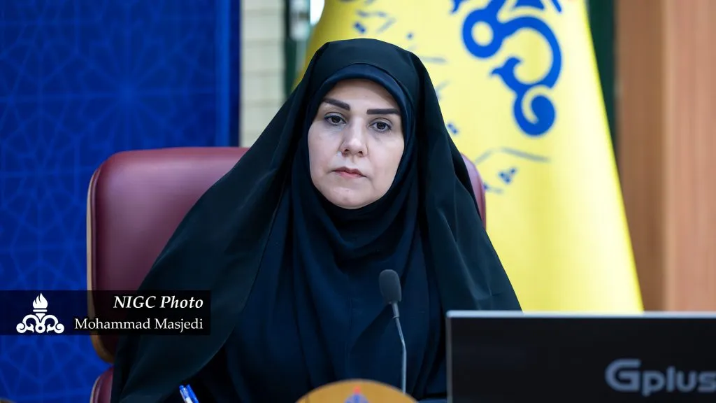 همافزایی صنعت و سرمایه؛ راهبرد نوین توسعه در صنعت گاز